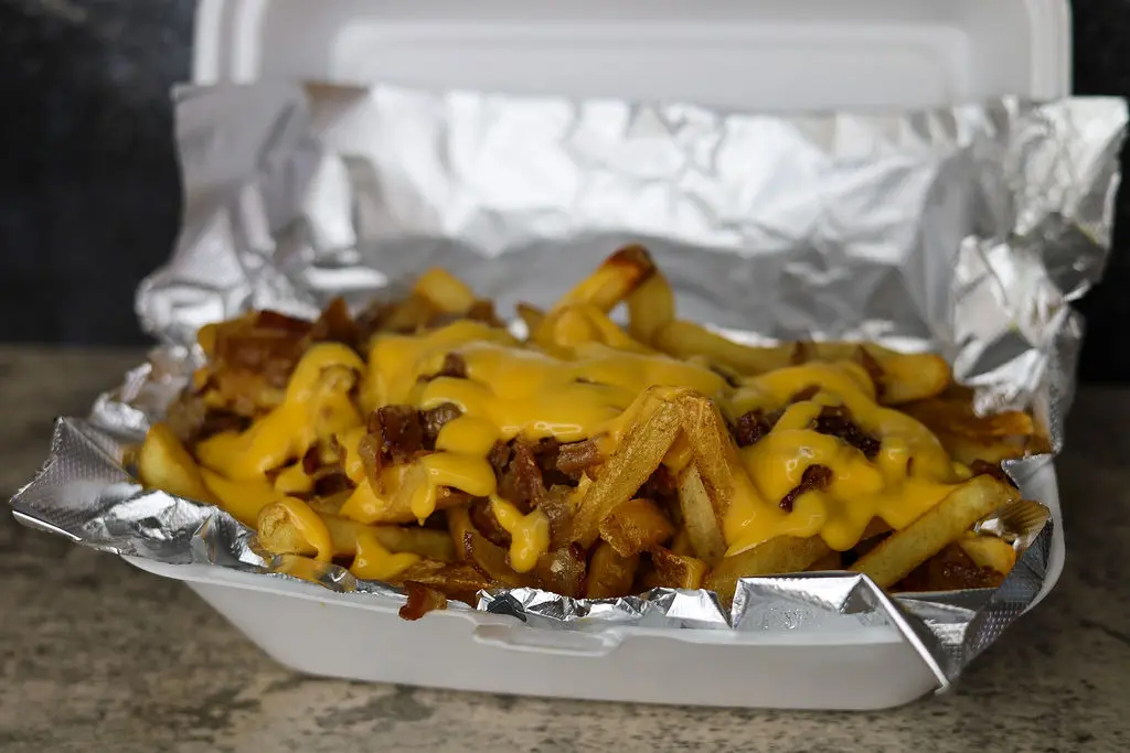 closeup of Bacon cheddar Cheese Fries